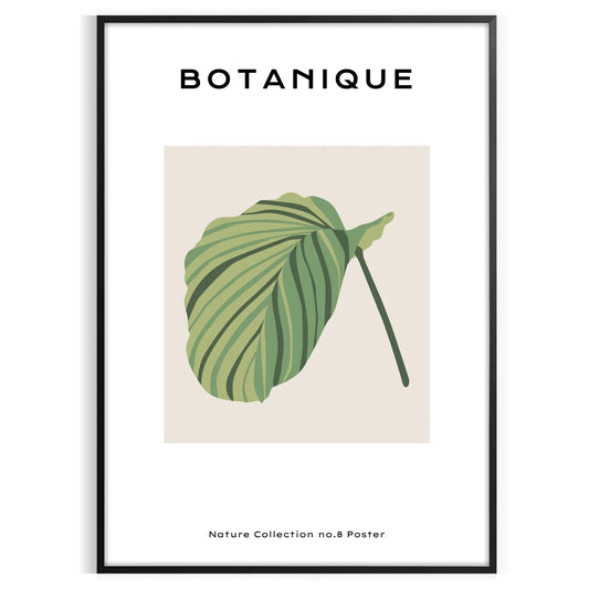 space vintage botanical prints poster charming wall art vibrant green blue hues elegance room unique artwork thoughtful gift sizes A4 cm A0 timeless today