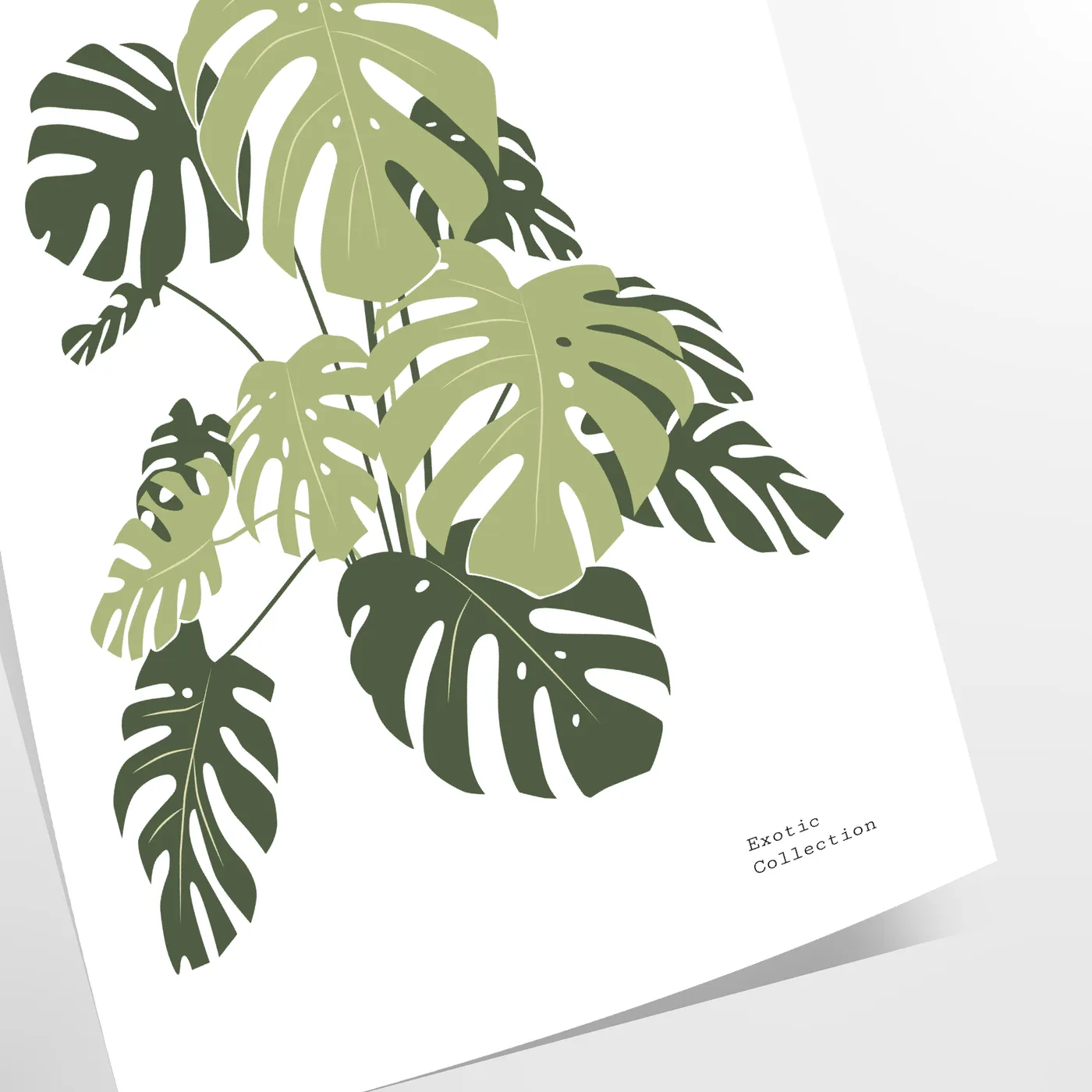 space exquisite botanical poster prints lush green white hues captivating wall art timeless perfect gift stunning addition decor standalone print